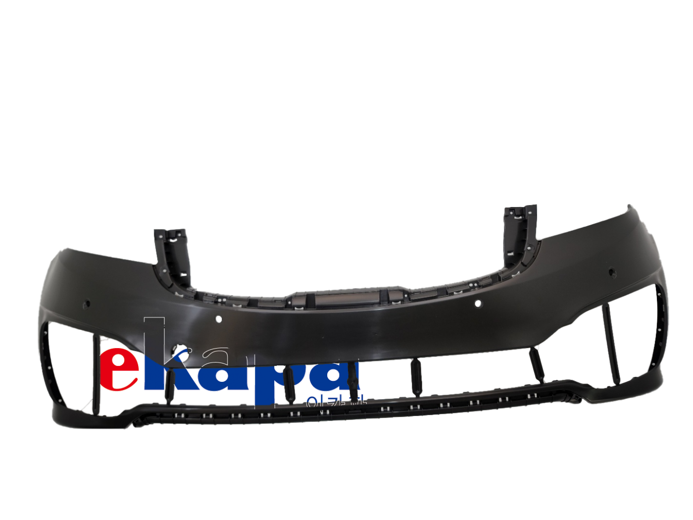 https://www.ekapa.kr/bbs/board.php?bo_table=yb_domestic01_1&amp;wr_id=9&amp;sfl=wr_9&amp;stx=%EC%B9%B4%EB%8B%88%EB%B0%9C&amp;sop=and